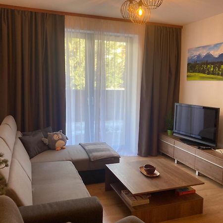 Apartment Tatry Mountain 塔特兰斯卡斯特拉 外观 照片